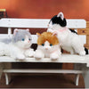 Peluche chaton noir