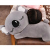 Peluche koala grise oreiller