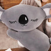 Peluche koala grise oreiller
