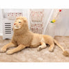 Grande peluche lion