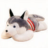 Peluche chien Husky géant