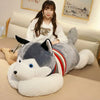 Peluche chien Husky géant