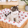 Peluche loup gris et blanc mignon