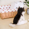 Peluche loup gris et blanc mignon