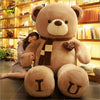 Ours en peluche géant amoureux