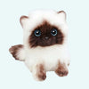 Peluche chaton siamois