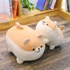 Oreiller en peluche chien Shiba inu