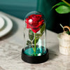 Cadeau St-Valentin lot d'ourson en roses avec sa rose éternelle