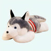 Peluche chien Husky géant