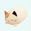 Peluche chat oreiller