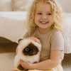 Peluche chaton siamois