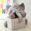 Peluche éléphant oreiller grise