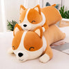 Peluche géante chien mignon