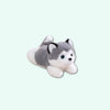 Peluche lestée chien husky