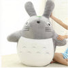 Peluche Totoro mignon