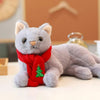 Peluche chat toute douce