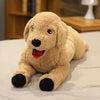 Peluche chien labrador doux