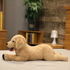 Peluche chien labrador doux