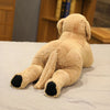 Peluche chien labrador doux
