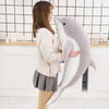 Peluche dauphin mignon