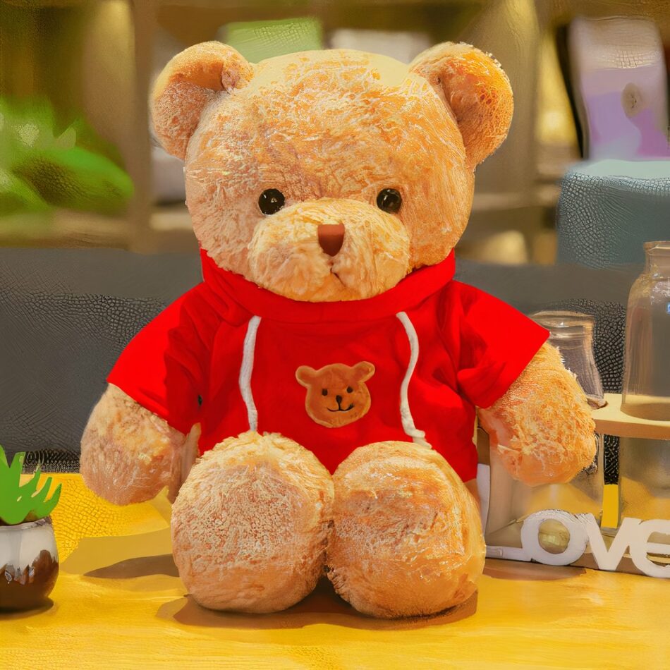 Ours en peluche avec pull