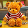 Ours en peluche avec pull