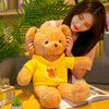Ours en peluche avec pull