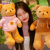 Ours en peluche avec pull