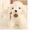 Peluche caniche blanc