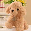 Peluche caniche beige