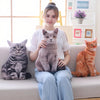 Peluche chat gris oreiller
