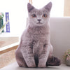 Peluche chat gris oreiller