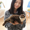Peluche loutre marron