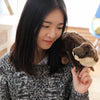 Peluche loutre marron