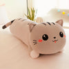 Peluche oreiller chat décoratif