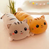 Peluche oreiller chat décoratif