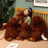 Peluche ours géant super doux