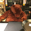 Peluche ours géant super doux