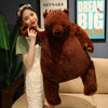 Peluche ours géant super doux