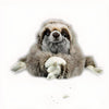 Peluche paresseux poilu