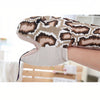 Peluche serpent marionnette