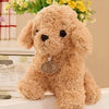 Peluche caniche beige