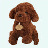 Peluche caniche marron