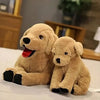 Peluche chien labrador doux
