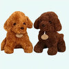 Peluche caniche blanc