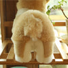 Peluches en forme de chien