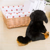 Peluches en forme de chien