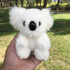 Petite peluche de koala poilu