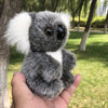Petite peluche de koala poilu