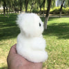 Petite peluche de koala poilu